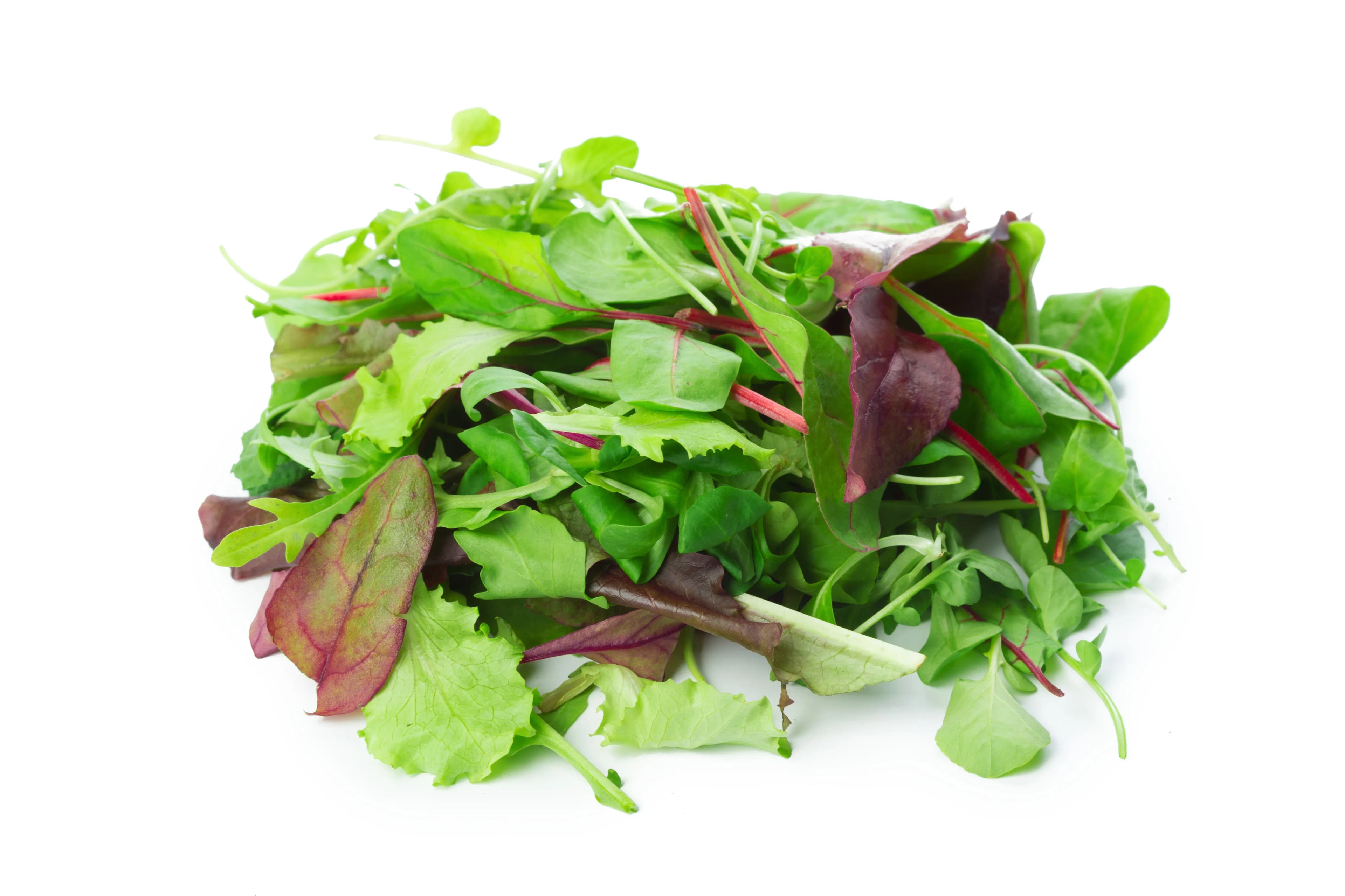 Mesclun Mix 