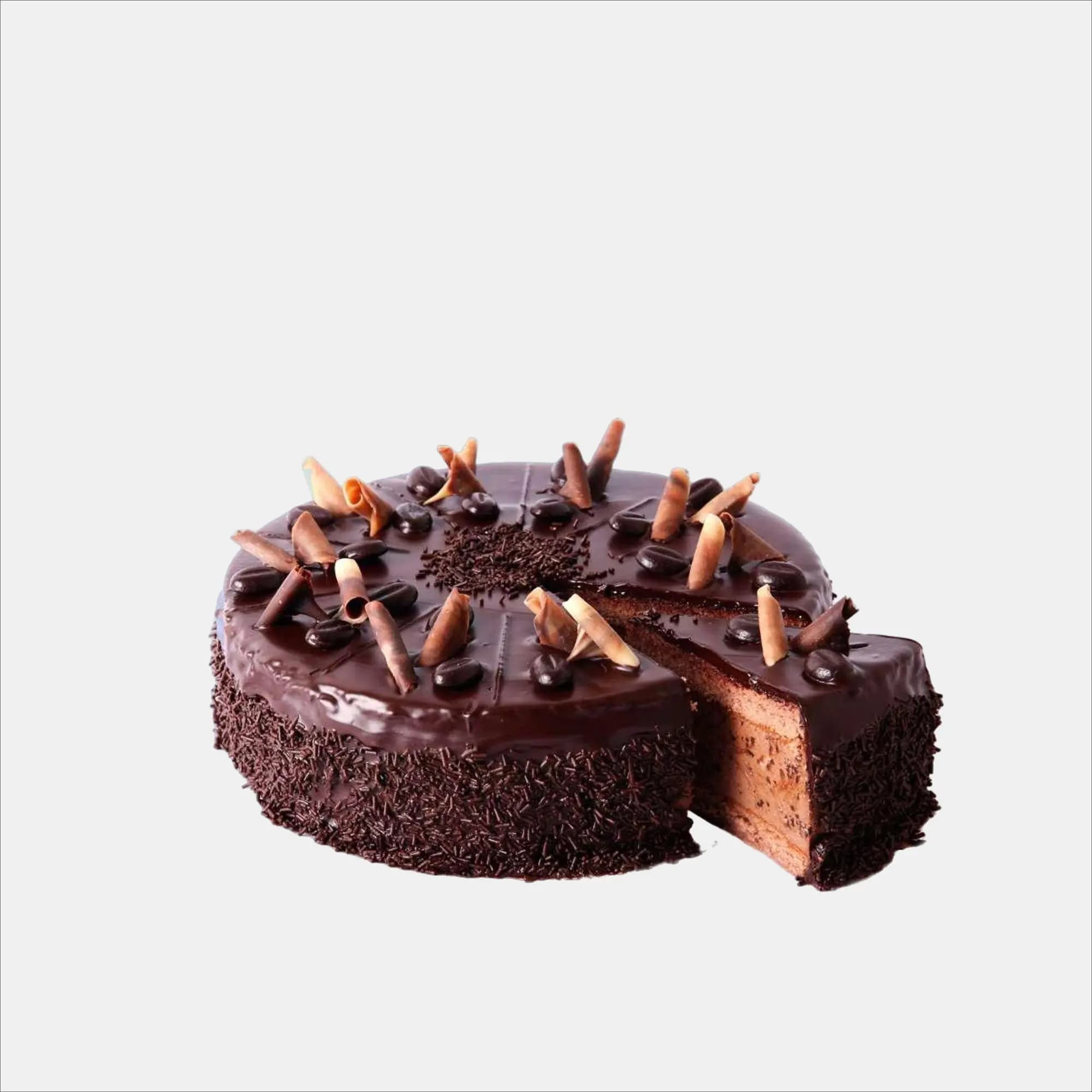 Choco Fudge Cake Big 