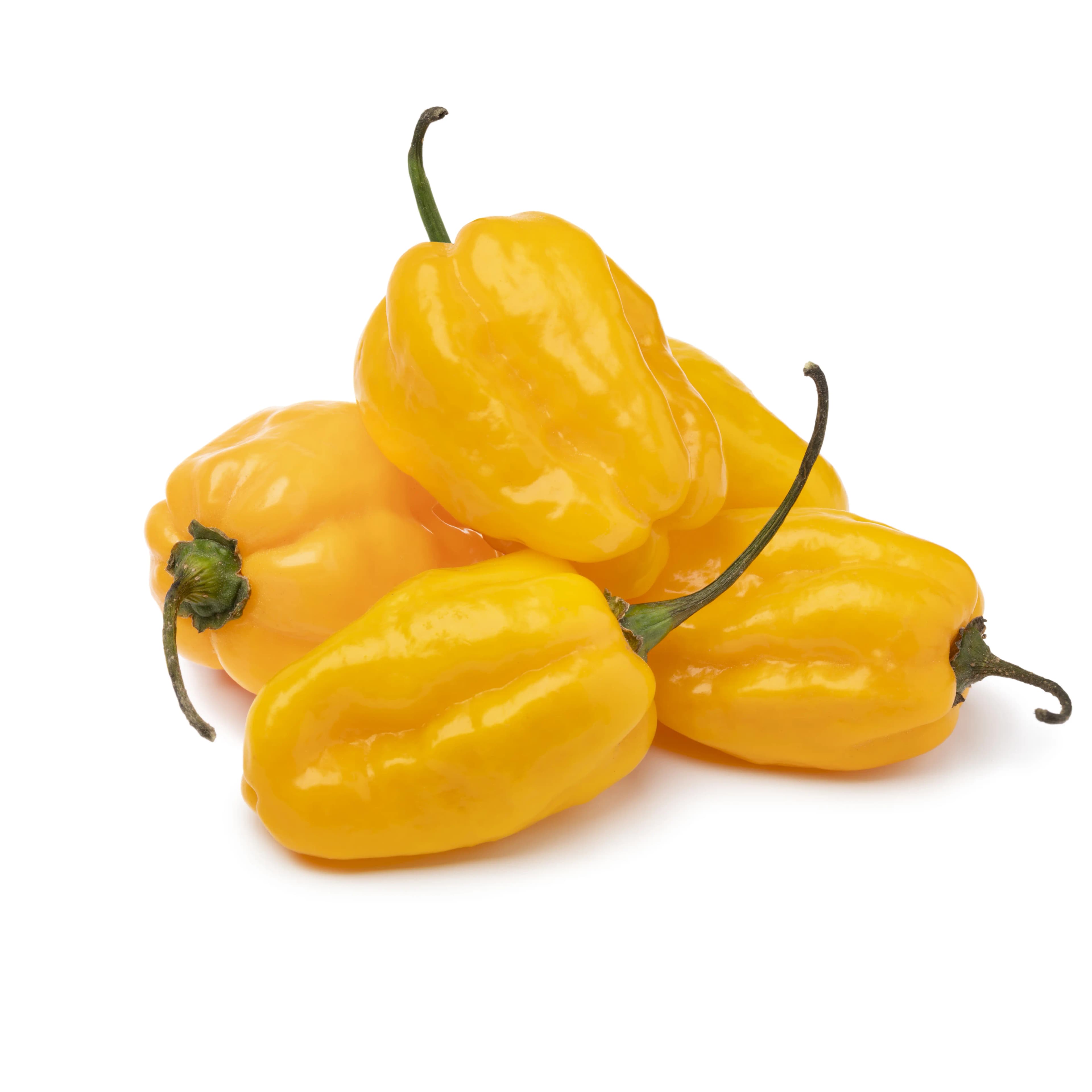 Habanero Yellow Holland 