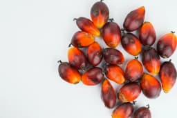 Palm Fruit 500 g - image 3