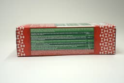 Panzani Lasagna 500 g - image 1