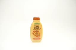 Garnier Ultra Honey Treasures Shampoo 200 ml - image 1