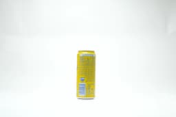 Fanta Citrus Can 330 ml - image 2