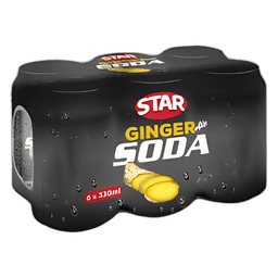 Star Ginger Soda 300 ml - image 1