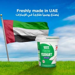 Al Ain Natural Yoghurt 400 gm - image 2