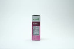 Nellara Vermicelli Payasam Mix 200 g - image 1