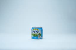 Rainbow Light Evaporated Milk 170 ml - image 1