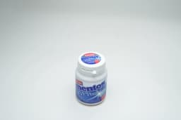 Mentos Gum Bottle Peppermint 54 g - image 1