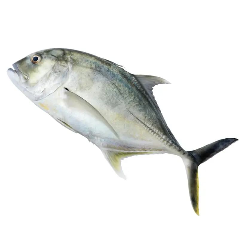 Para Faroojis 1 kg