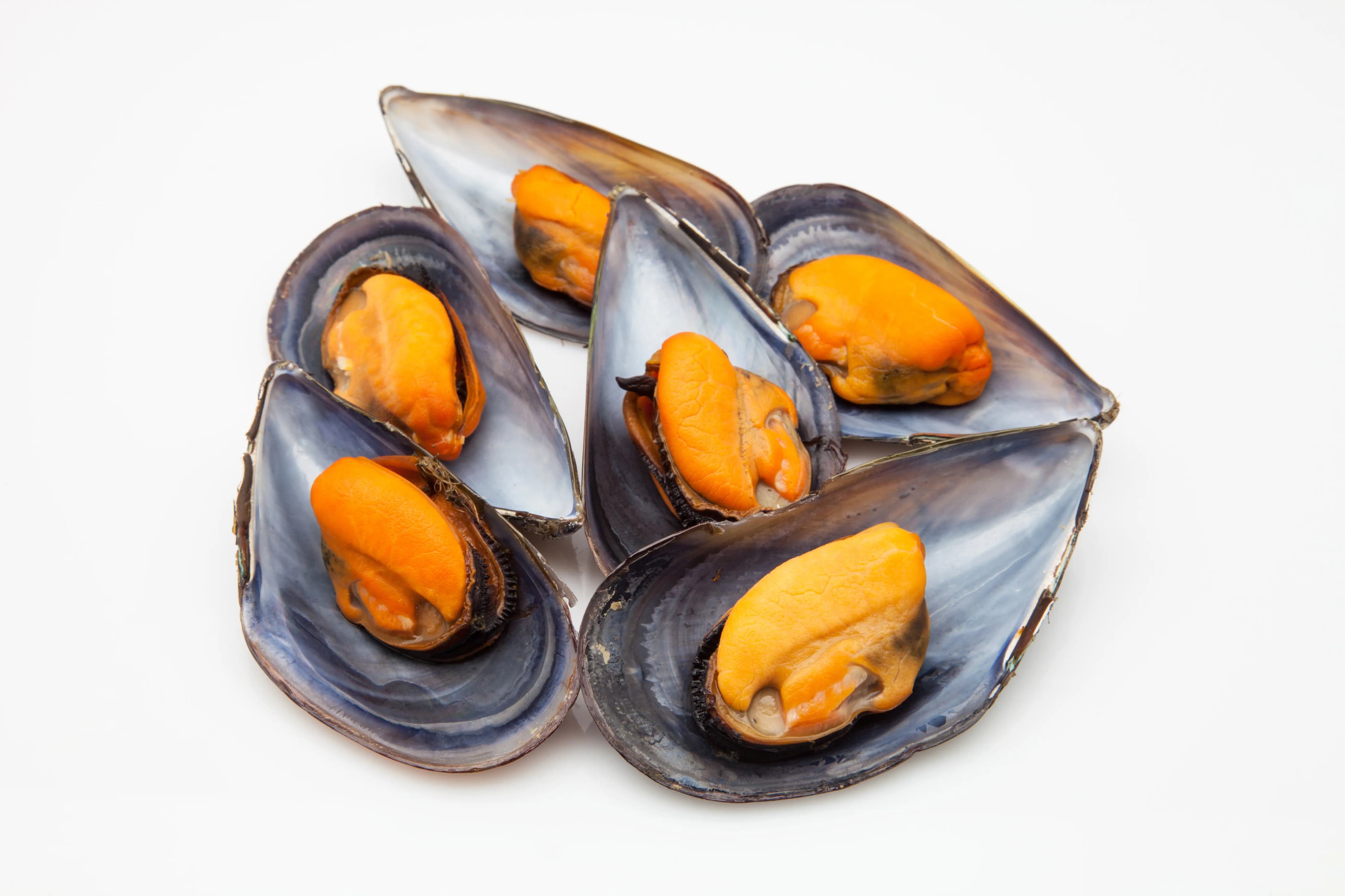 Mussel Meat Big 1 kg