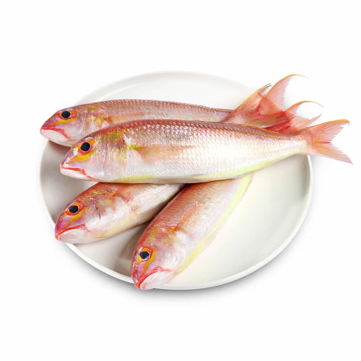 Sultan Ibrahim 1 kg