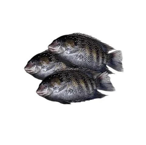 Karimeen 600 g