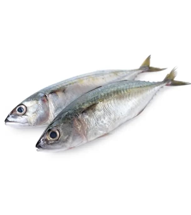 Mackerel Big 1 kg