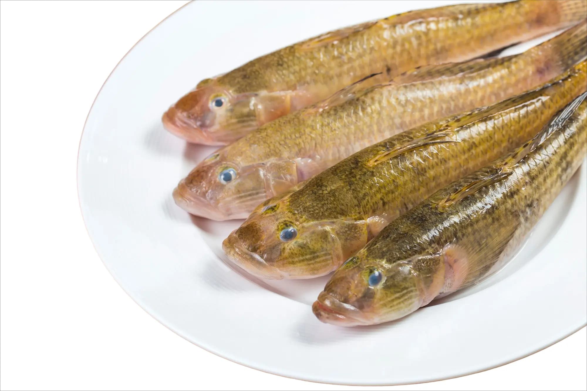Makroni Veltan 600 g