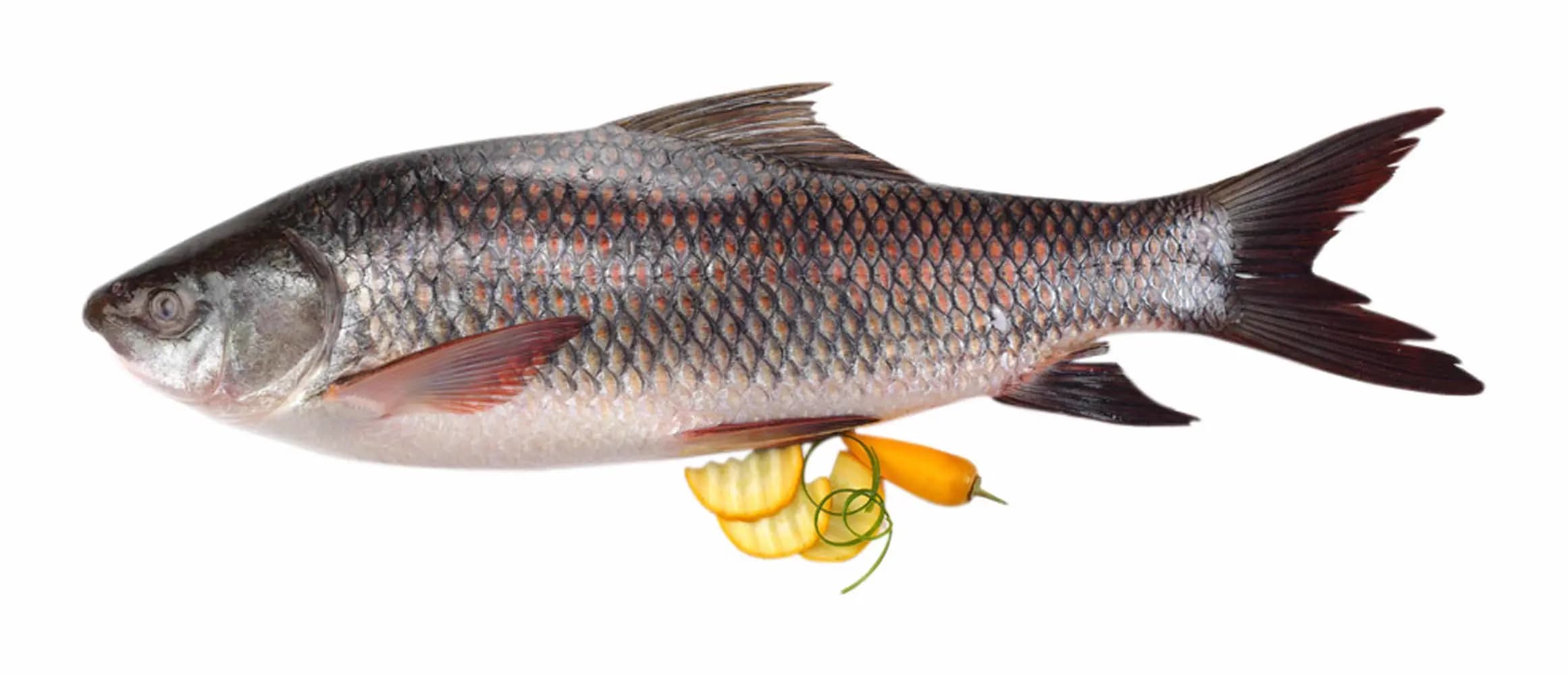 Rohu Whole Cutting 1 kg