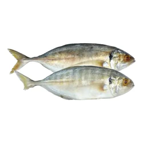 Adav 600 g