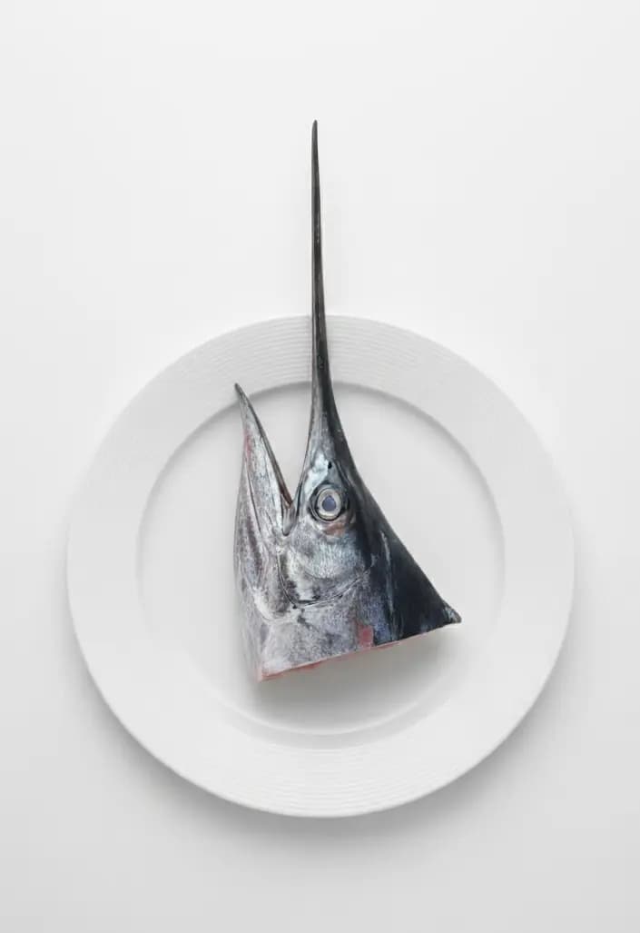Kalbarri Fish Head 600 g