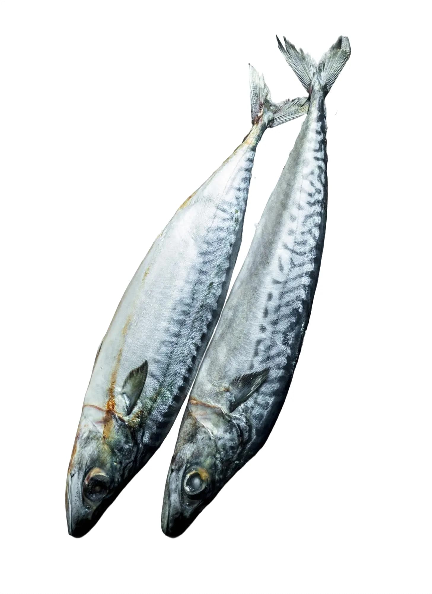 King Fish Import 1 kg