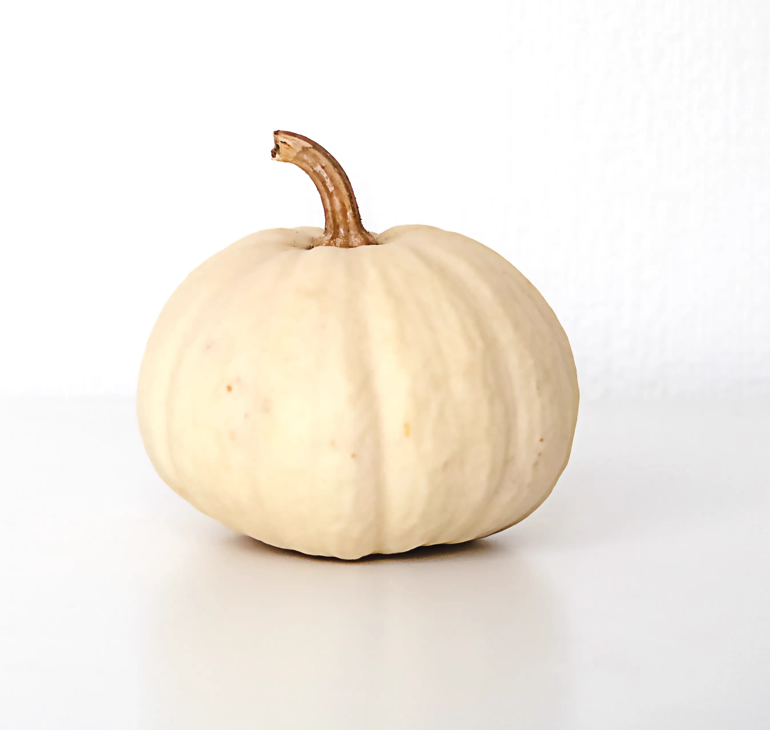 Pumpkin White 750 g