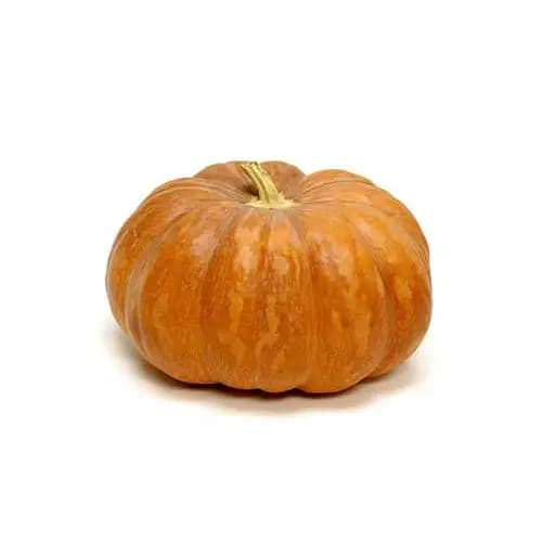 Pumpkin Bobar India 500 g