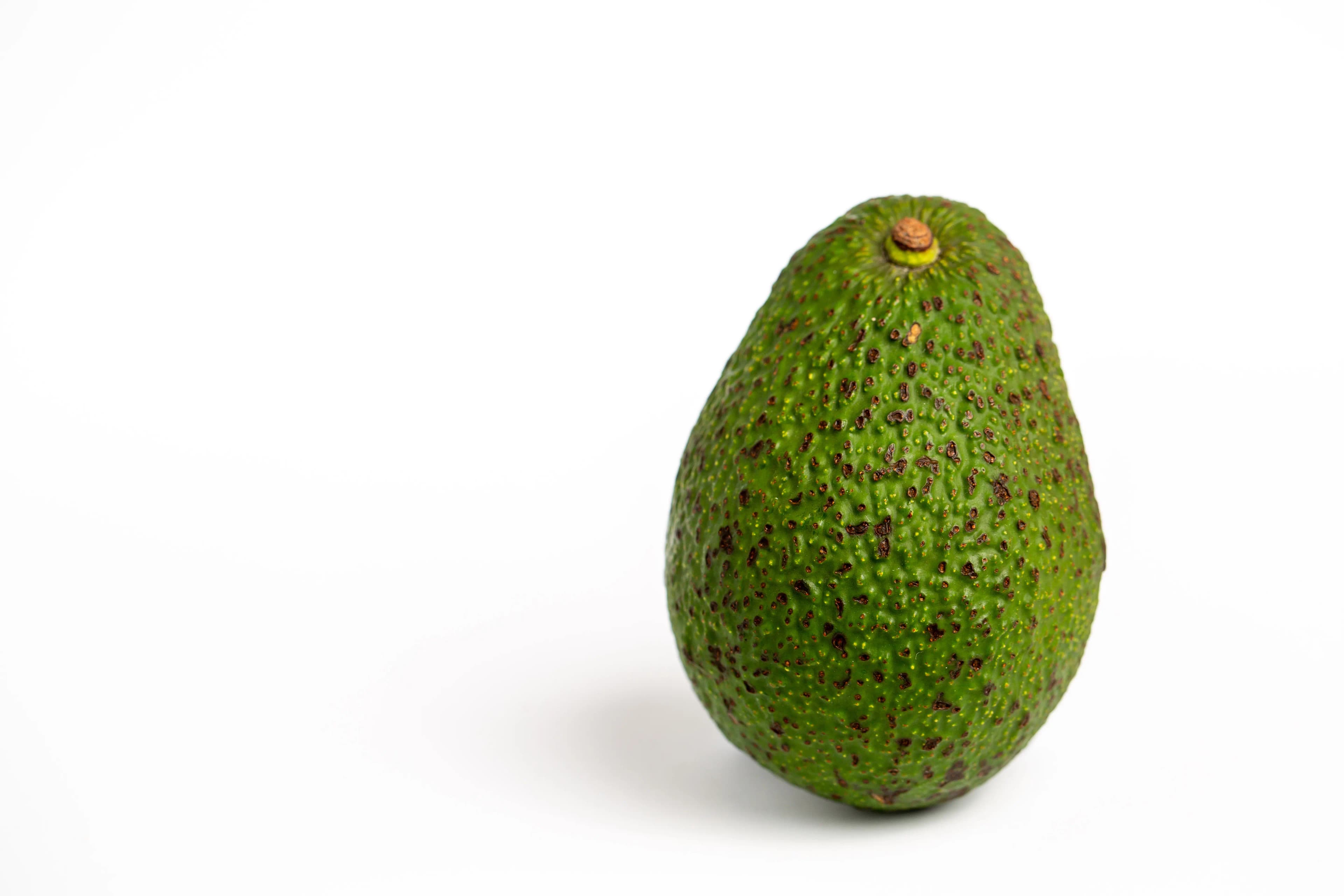 Avocado Kenya 600 g