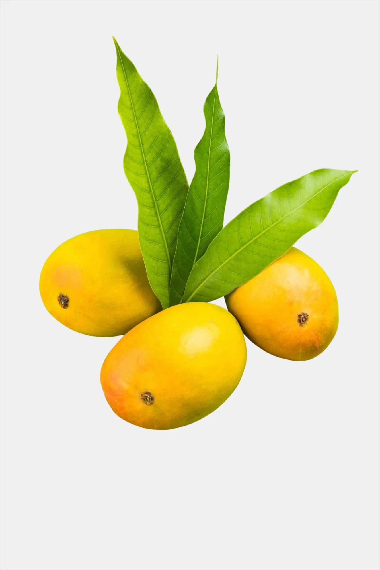 Himam Pasanth Mango 600 g