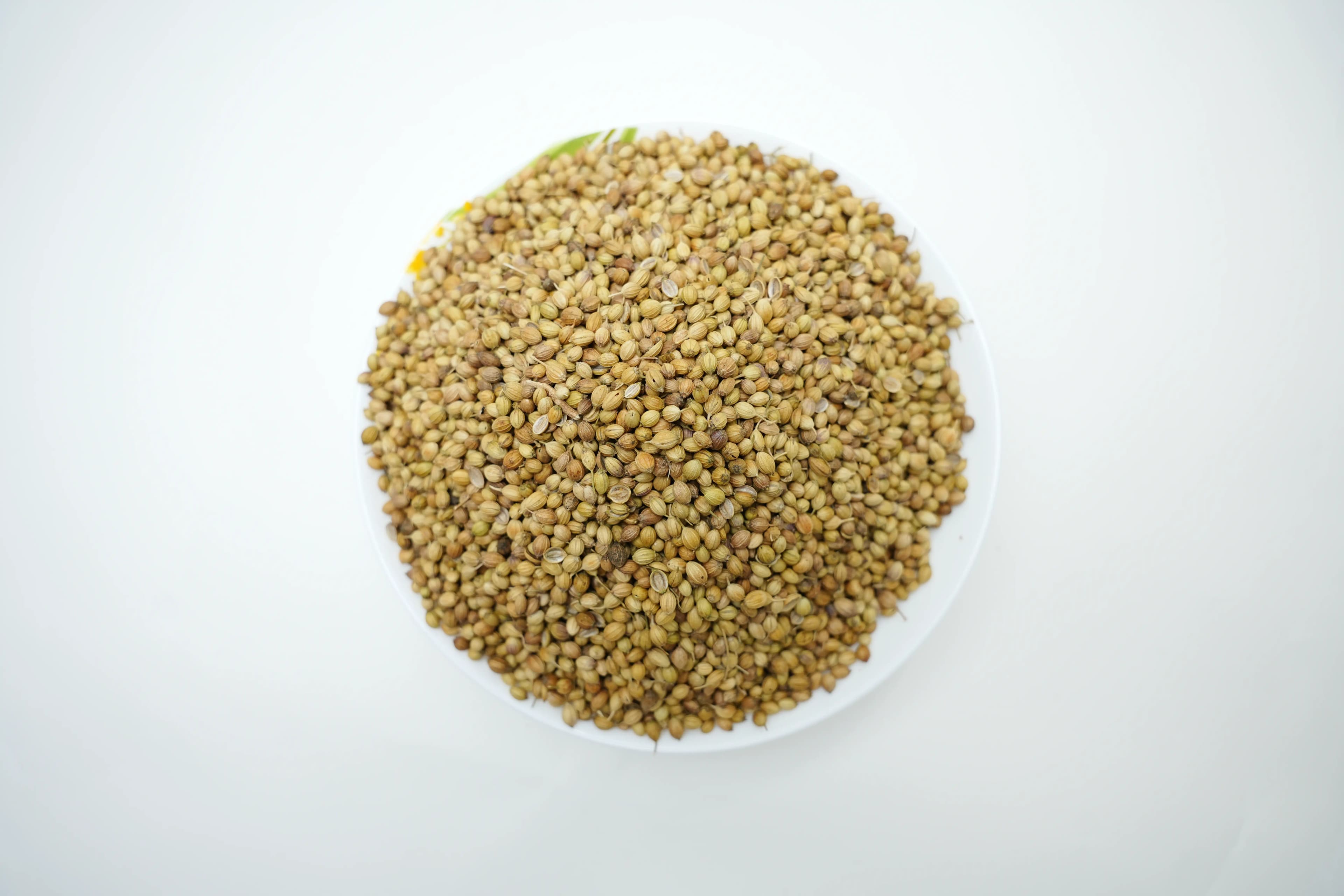 Kitchen King Coriander Whole 250 g