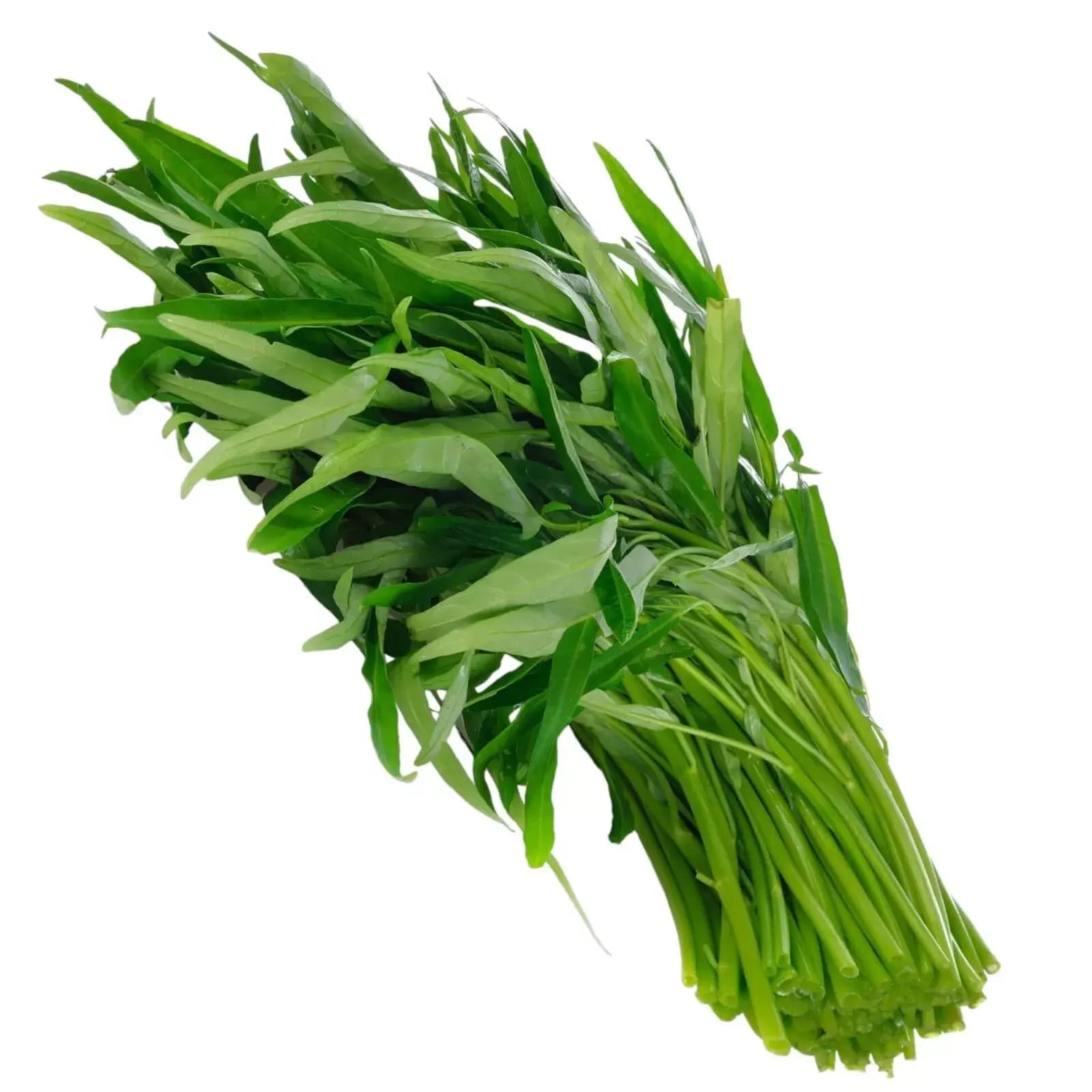 Kangkong Leaves